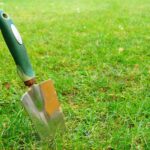 hand trowel on the green grass