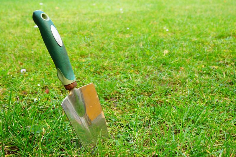 hand trowel on the green grass