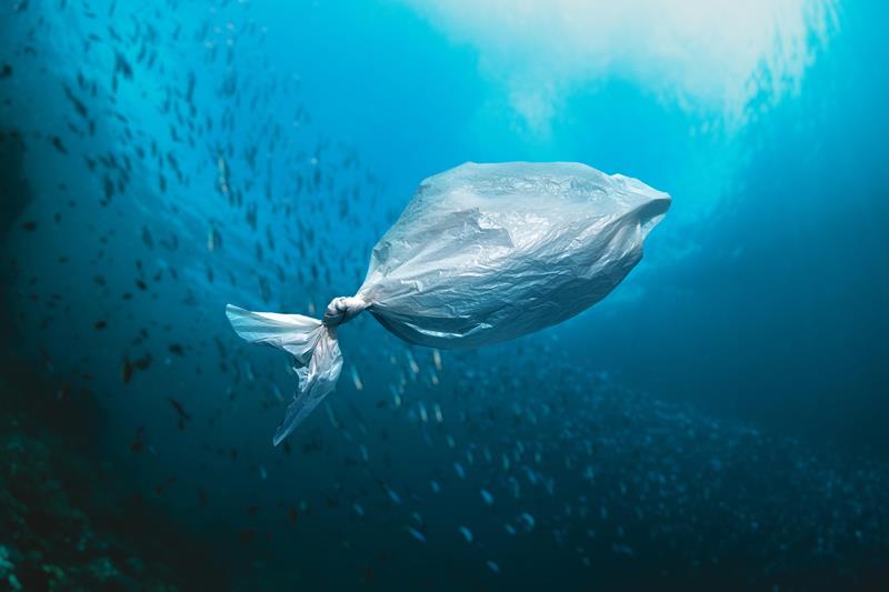 bag in the shape of a fish in the ocean