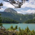 lake covered in greenery in montenegro