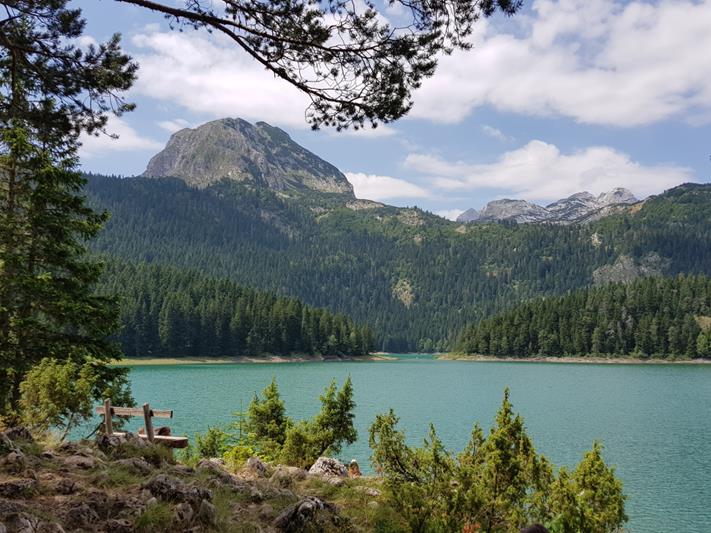 lake covered in greenery in montenegro