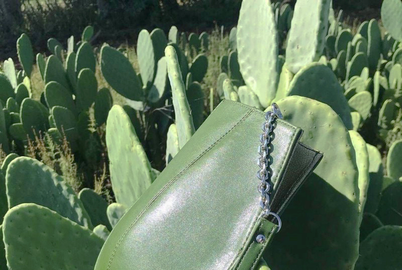 cactus and leather