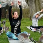 people doing yoga accompanied with animals