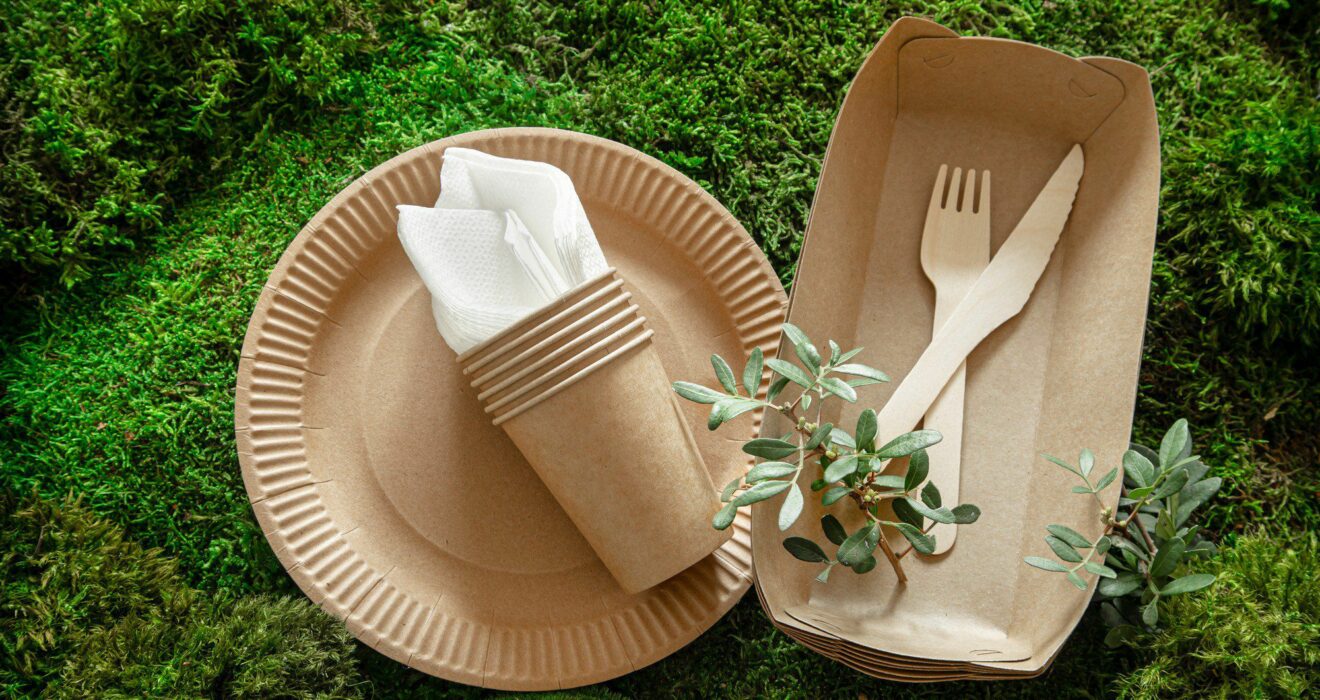 recyclable cutlery