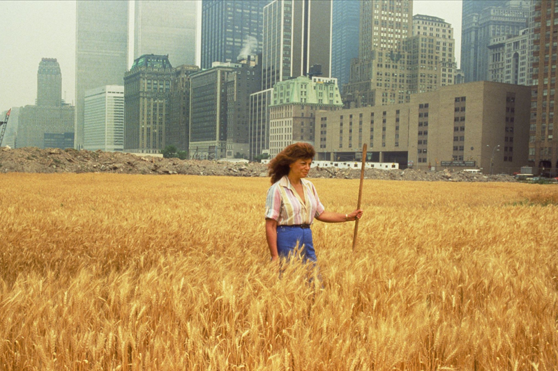 Agnes Denes's Wheatfields