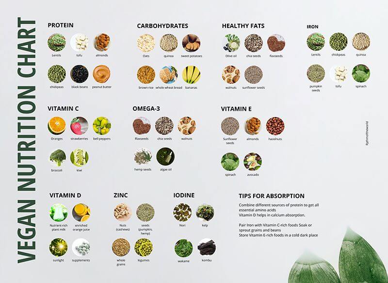 vegan nutrition chart