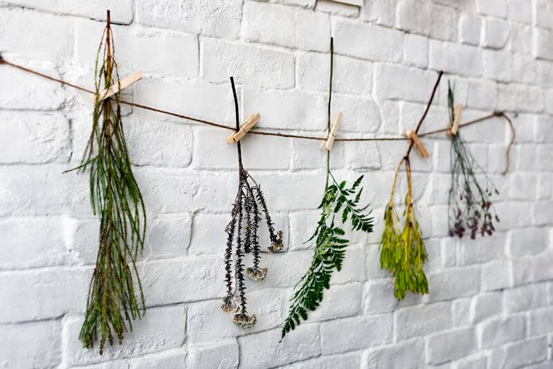 Plants/dried herbs in closets to make your room smell good.