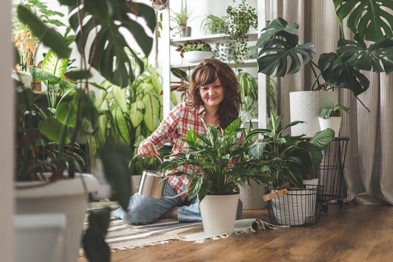 Person watering houseplants